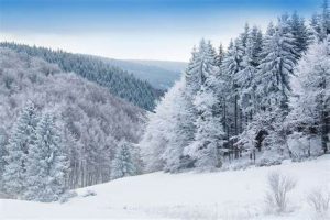 best b&b in the catskills