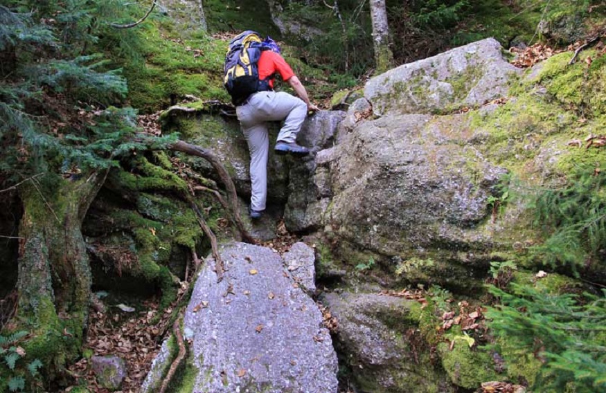 Best Catskill Mountain To Hike